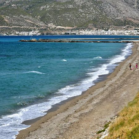 Luxurious Villa By The Sea Ποσειδωνία Εξωτερικό φωτογραφία